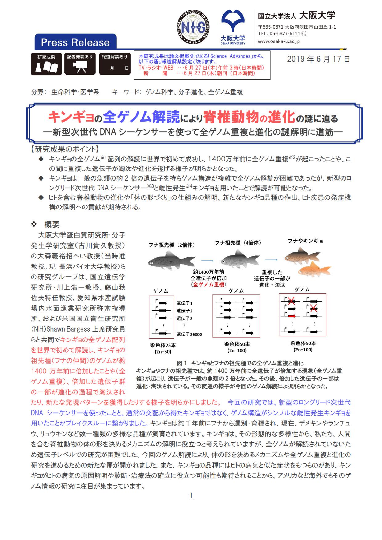 キンギョの全ゲノム解読により脊椎動物の進化の謎に迫る