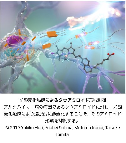 アルツハイマー病におけるアミロイド形成制御法を開発~光酸素化によるタウ凝集抑制効果を解明～