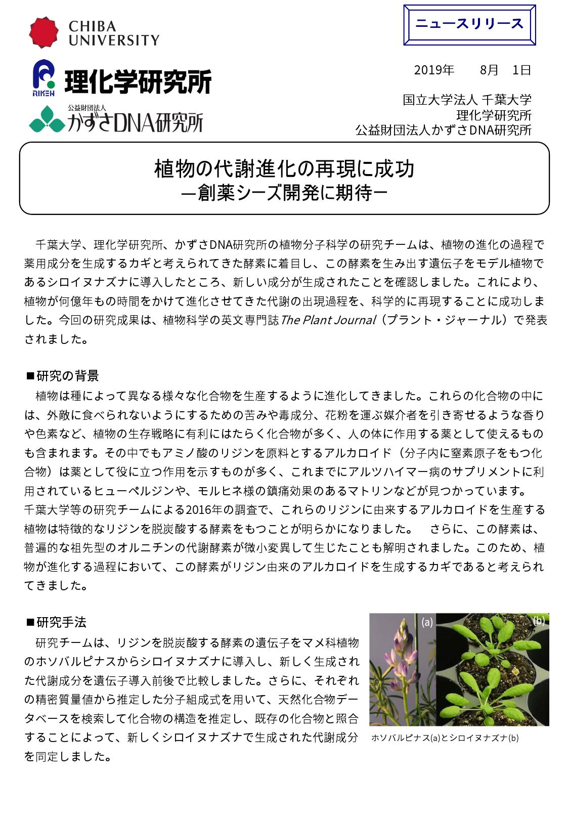 植物の代謝進化の再現に成功～創薬シーズ開発に期待～