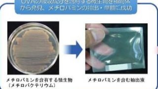 植物生息微生物由来の水溶性で強力な紫外線A波吸収剤～メチロバミン～