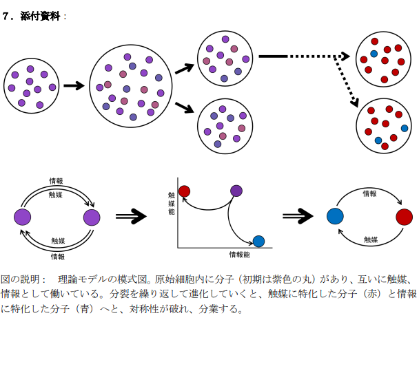 分子生物学の基本原理「セントラルドグマ」の理論的導出に成功