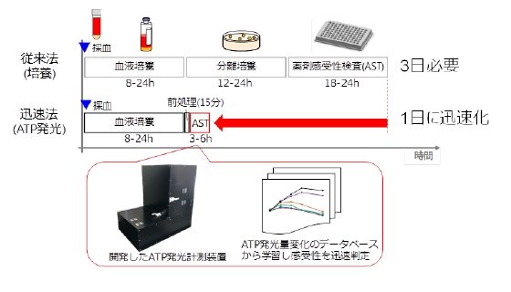 敗血症患者に有効な抗菌薬をATP発光技術で迅速に選択 敗血症患者に有効な抗菌薬をATP発光技術で迅速に選択