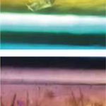 新しいタイプの抗菌薬開発につながる化合物発見に「きぼう」で作られたタンパク質結晶が貢献