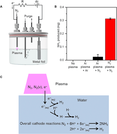 アンモニア合成をより「グリーン」に (Making ammonia ’greener’)