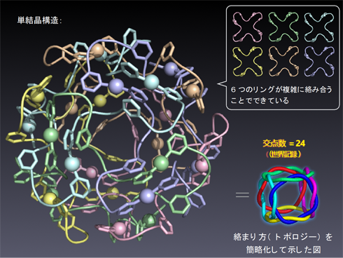 ペプチド鎖が精密に編み込まれたナノカプセルの合成に初成功