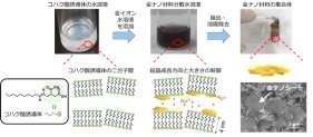 金ナノ材料の簡便な合成法を開発～コハク酸誘導体を用いて