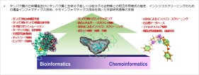 BINDSインシリコユニットにおける新型コロナウイルス感染症(COVID-19)関連研究について