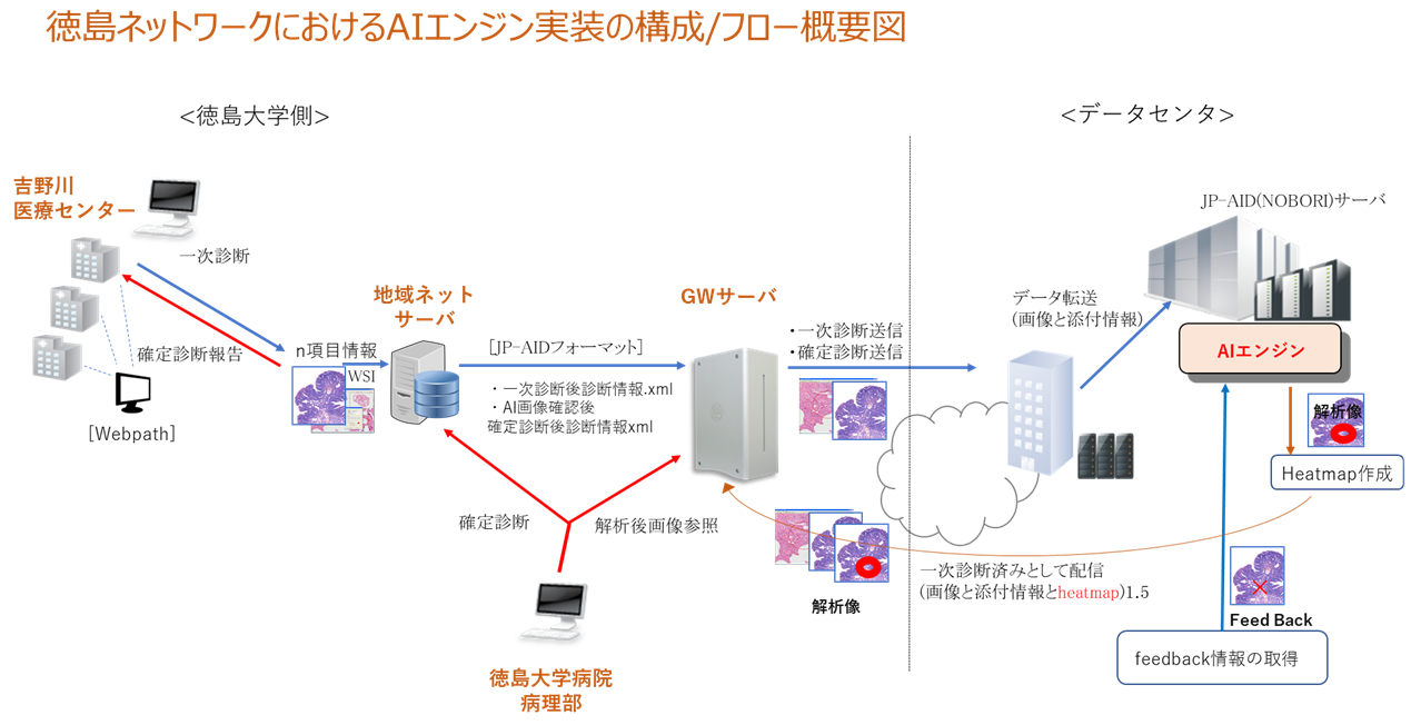 病理診断ネットワークの運用とAI診断システムの検証を開始