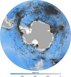 ペンギン・アザラシの行動追跡から保全の重要度が高い海域を特定〜南極海の生態系保全の推進へ向けて