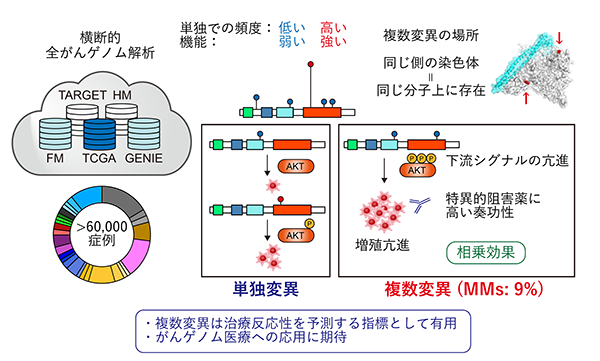 最大規模の横断的がんゲノム解析による新規発がん機構の解明～がんゲノム医療への応用が期待～