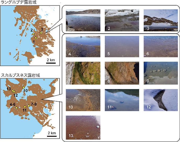 南極の湖沼周辺に生息する微生物の群集構造を解明