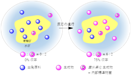 不均一系化学反応の直接的な定量モニタリングを実現