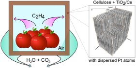 イエロー・イズ・ニュー・ブラウン (Yellow is the new brown)