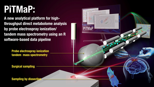 新規質量分析法とバイオインフォマティクスの統合によるメタボローム解析の新たなハイスループット…