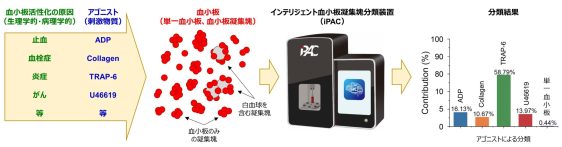 血小板凝集塊は分類可能!人工知能が発見