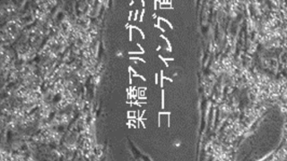 細胞培養用の微小デバイスをタンパク質で作製