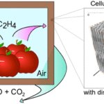イエロー・イズ・ニュー・ブラウン (Yellow is the new brown)