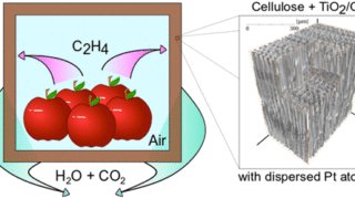 イエロー・イズ・ニュー・ブラウン (Yellow is the new brown)