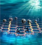 平面状に広がる有機高分子が水から水素を生み出す優れた光触媒になることを解明