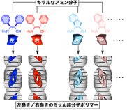 右手と左手の分子を分離する超分子ポリマーの開発