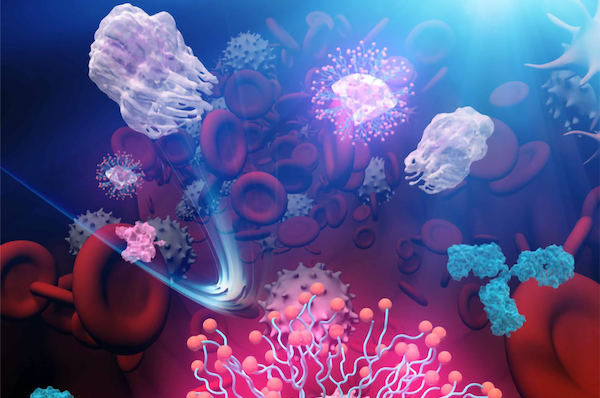 ナノ粒子のステルス性の向上に成功～がん治療効果と安全性の飛躍的な向上に期待～