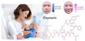 授乳によるオキシトシンホルモンは母親の表情の感じ方と関連することを解明