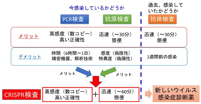 国産ゲノム編集技術CRISPR-Cas3を用いたCOVID-19迅速診断法の開発