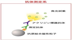 第二回東京の500例測定は陽性者4名、前回と合わせ千例で0.7%