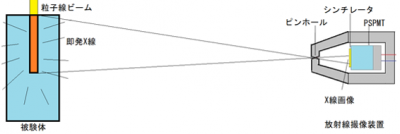 深層学習を用い、粒子線照射即発X線実測データから正確な線量画像の生成に成功