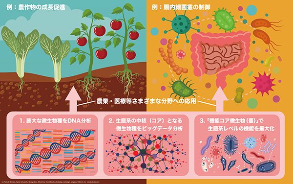 微生物の生態系を設計する基幹技術を開発～生態系レベルの機能を農業・医療・工業に～
