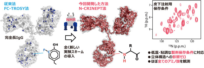 完全に非破壊的に抗体の高次構造を解析