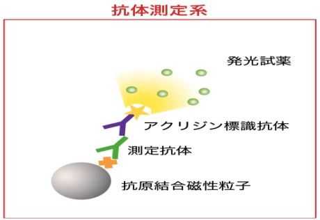 第二回東京の500例測定は陽性者4名、前回と合わせ千例で0.7%