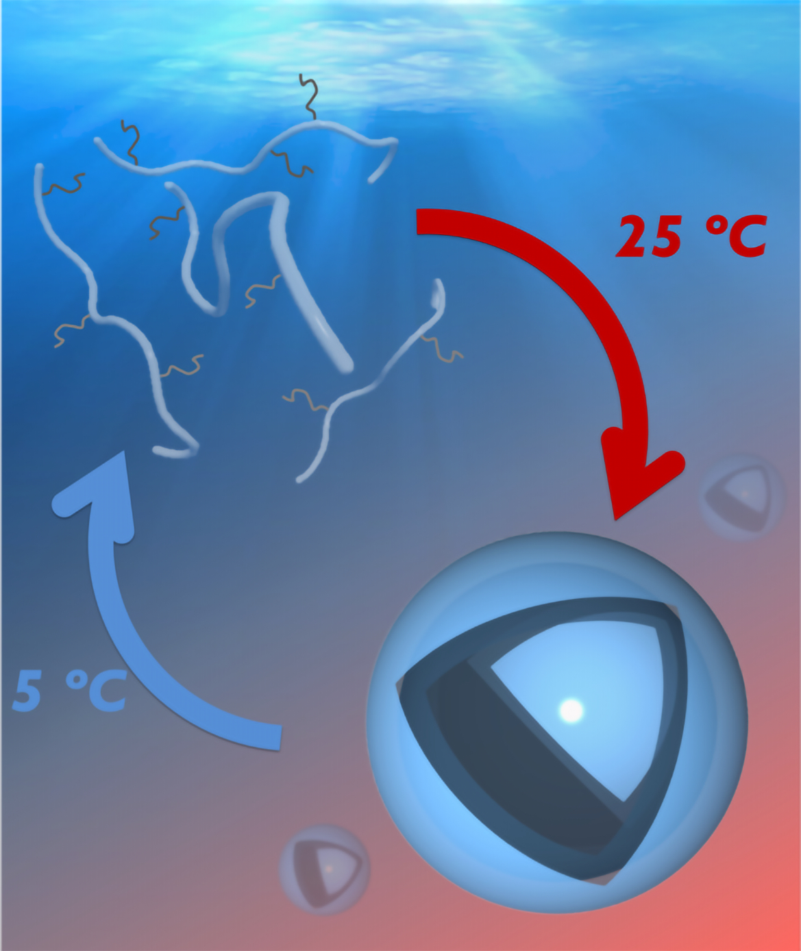 タンパク質のように高次構造を記憶する高分子の開発に成功～ナノリアクター小胞としてのバイオ応用に期待～