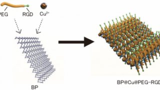 顕著な抗がん作用を有する、生体に安全なナノ薬剤を開発