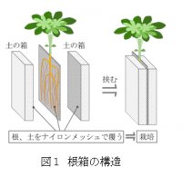 根圏  植物の根と微生物が土の中で繰り広げる営みを観る