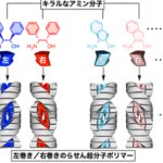 右手と左手の分子を分離する超分子ポリマーの開発