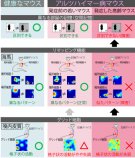 アルツハイマー病における空間記憶障害の原因を解明 ～認知症患者の徘徊予防へ向けて～