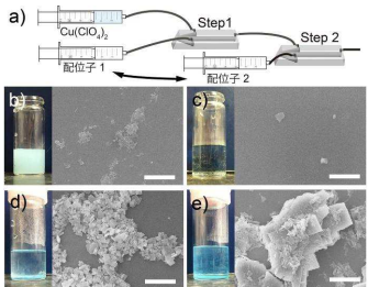 マイクロ流路を利用して、多孔性材料の生成メカニズムを解明～結晶生成における各配位子の役割解明～