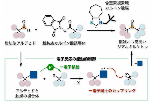 電子反応を制御する有機触媒 ～創薬研究につながる複雑かつかさ高い分子をつくり出す～