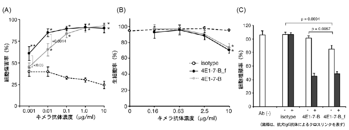 犬のリンパ腫に対する新規抗体医薬の開発～犬リンパ腫対象獣医師主導臨床試験開始～