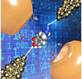 世界初 量子計測とAIによる新手法 神経伝達物質の高速検出・識別に成功 ～神経疾患の詳細な理解へ期待～