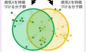病気の類似性から創薬標的や治療薬を探索する機械学習手法を開発