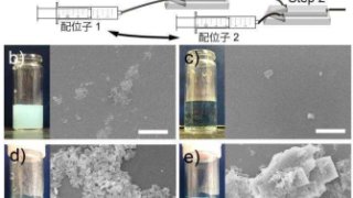 マイクロ流路を利用して、多孔性材料の生成メカニズムを解明～結晶生成における各配位子の役割解明～
