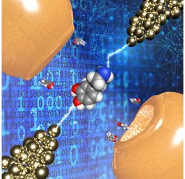 世界初 量子計測とAIによる新手法 神経伝達物質の高速検出・識別に成功 ～神経疾患の詳細な理解へ期待～