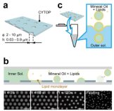 フェムトリポソームが拓く革新的1分子定量解析