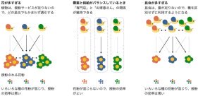 需要―供給バランスに依存する花と昆虫の取引のネットワークを解明～効率のよい取引を妨げる送粉のジレンマ