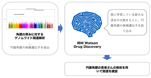 人工知能(IBM Watson)の活用により円錐角膜に関連する遺伝子変異を発見