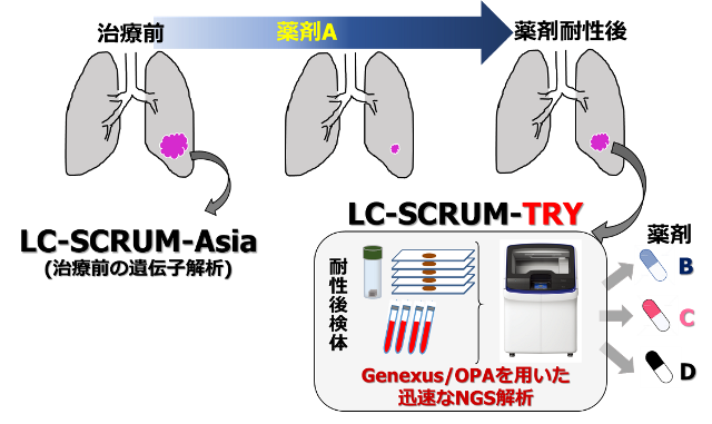 薬剤耐性を克服する個別化医療の開発を目指して、新しい遺伝子スクリーニング研究「LC-SCRUM-TRY」を開始