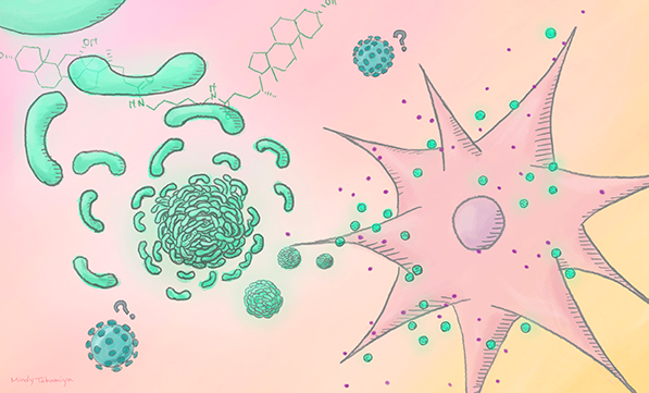 自己集合性ワクチンアジュバントの発見