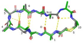 富士通とペプチドリーム、高速かつ高精度に中分子医薬品候補化合物の探索を実現
